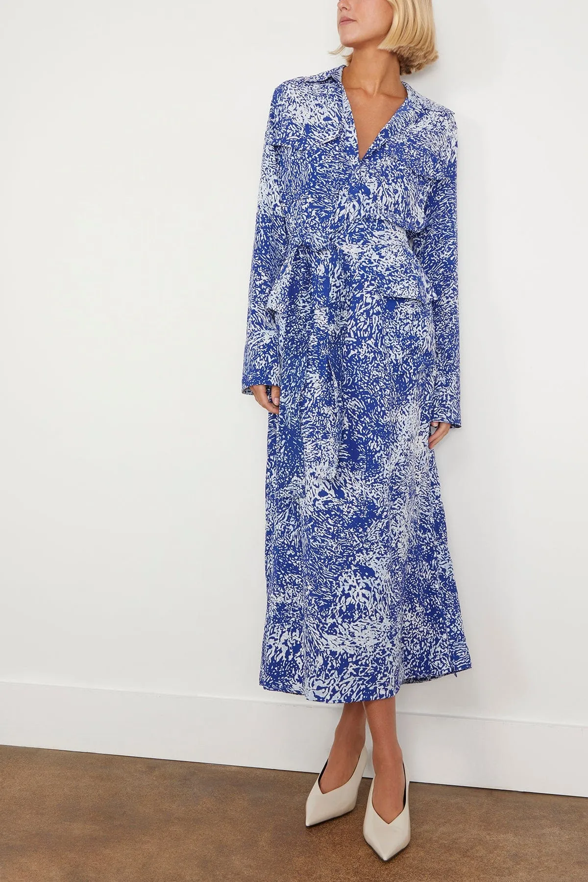 Vanessa Dress in Cobalt Multi